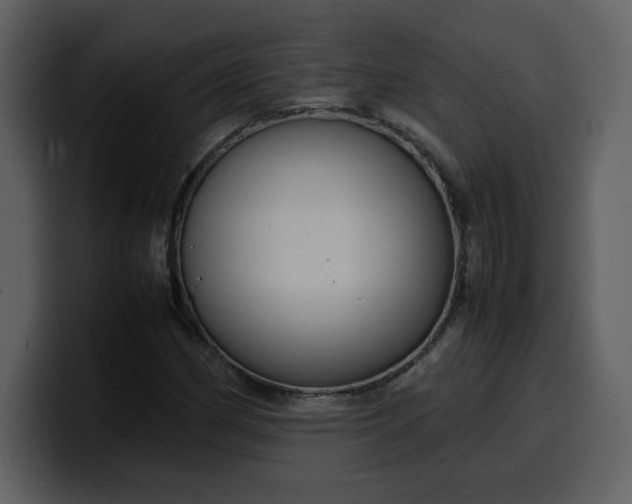 X0000100341162200806191018