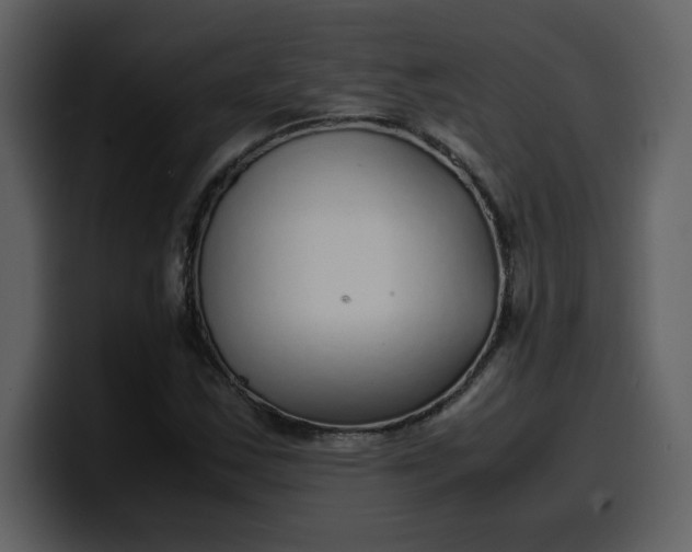 X0000100341163200806191018