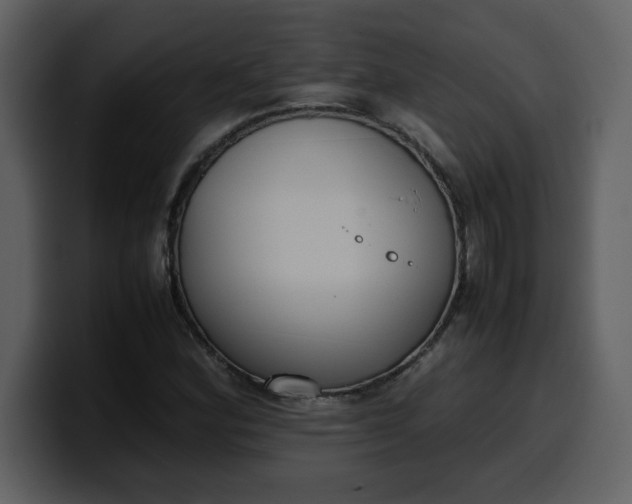 X0000100341164200806191018