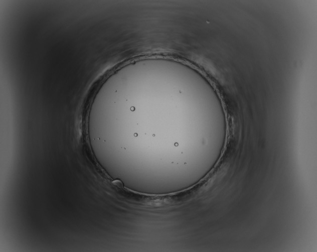 X0000100341165200806191018