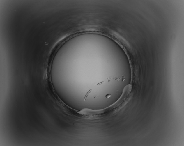 X0000100341166200806191018