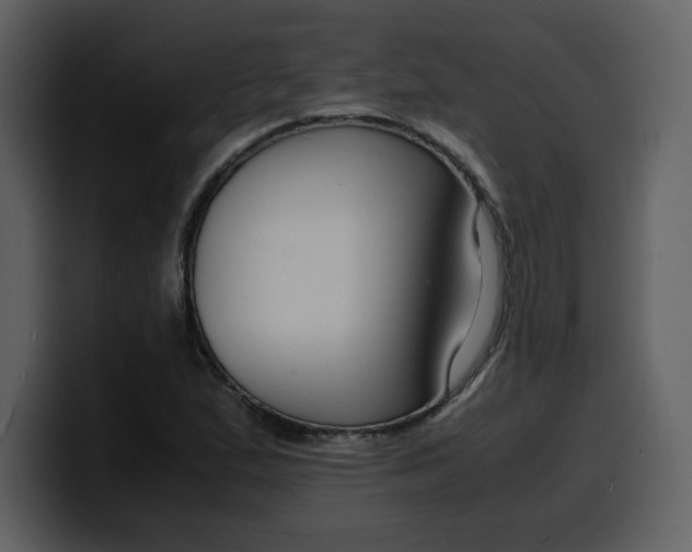 X0000100341167200806191018