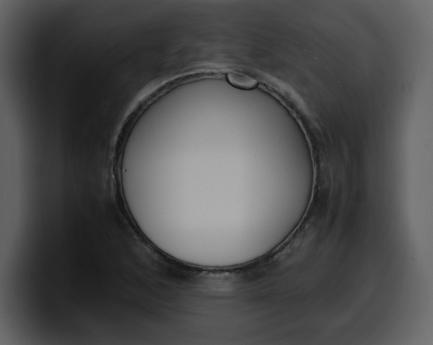 X0000100341168200806191018