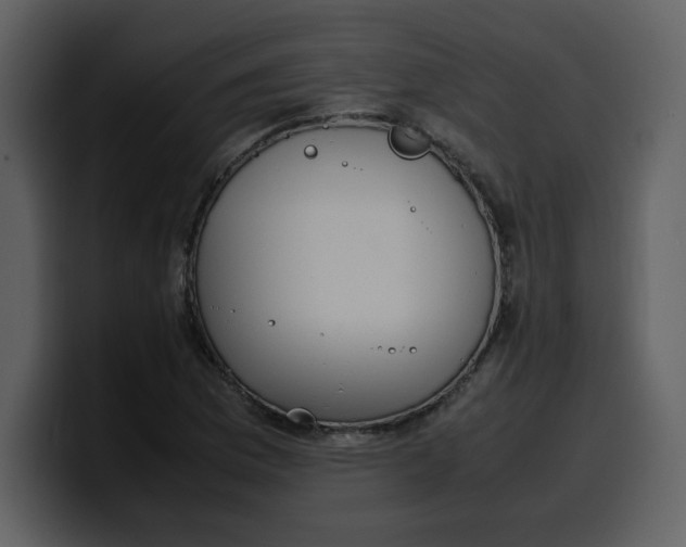 X0000100341169200806191018