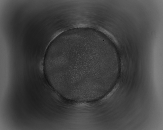 X0000100341170200806191018