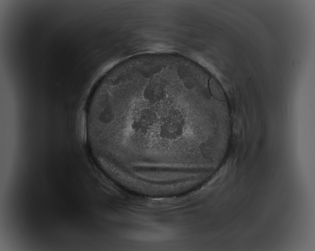 X0000100341171200806191018