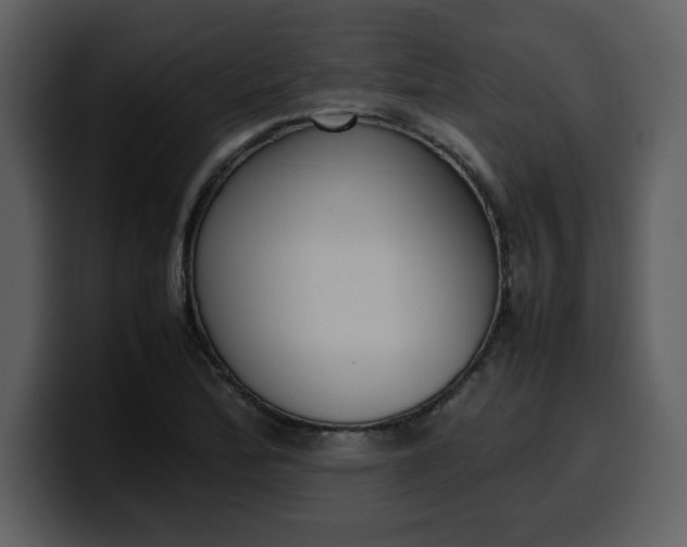 X0000100341172200806191018