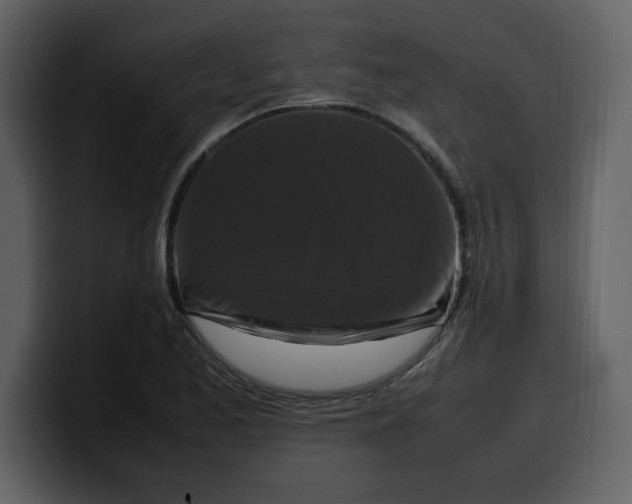 X0000100341173200806191018