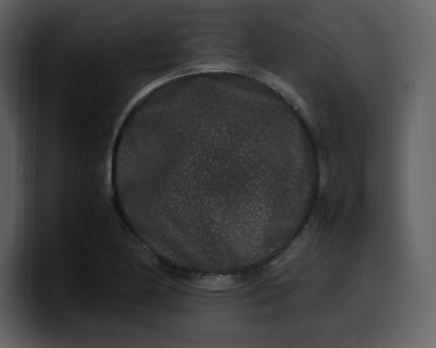 X0000100341174200806191018