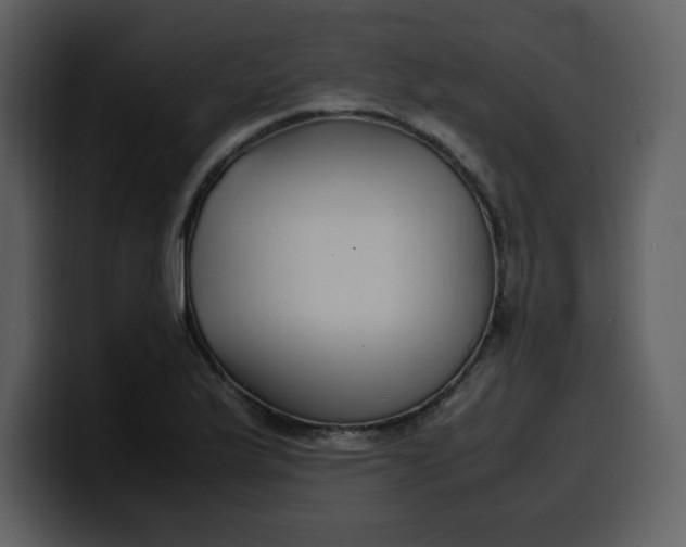 X0000100341175200806191018