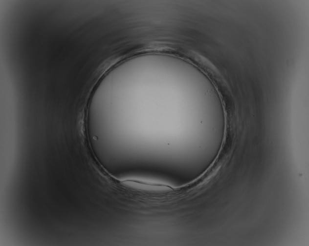 X0000100341177200806191018