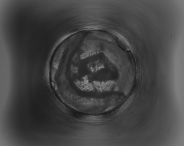 X0000100341179200806191018