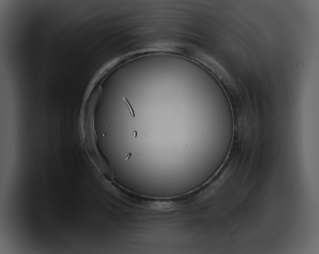 X0000100341180200806191018