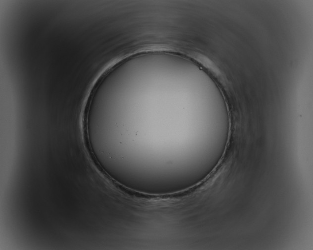 X0000100341181200806191018