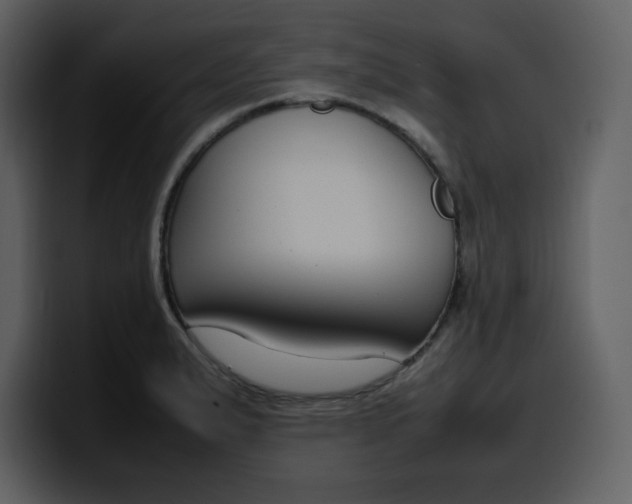 X0000100341183200806191018