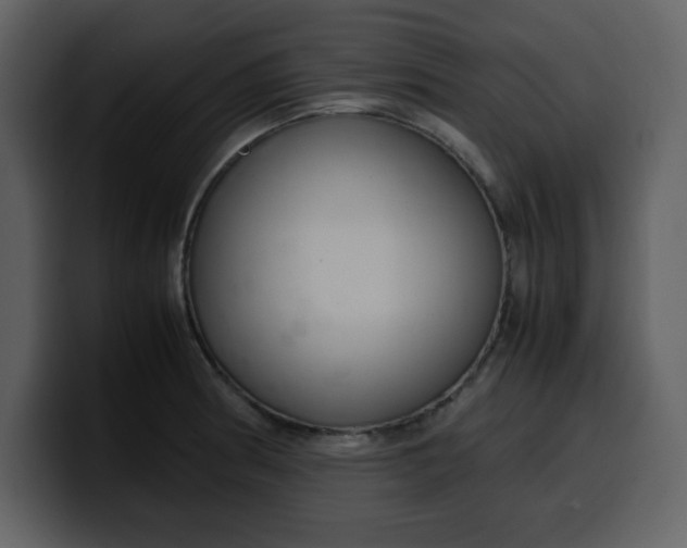 X0000100341186200806191018