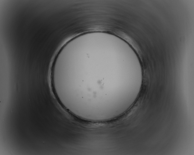 X0000100341187200806191018