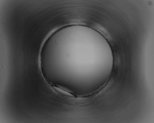 X0000100341188200806191018