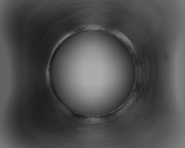 X0000100341190200806191018