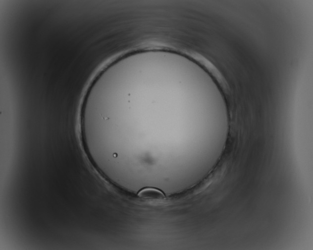 X0000100341191200806191018