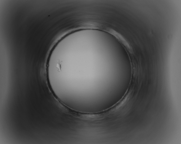 X0000100341192200806191018