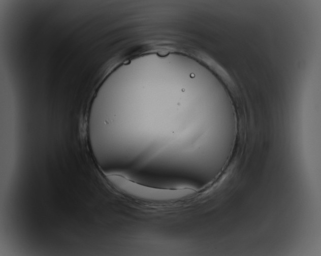 X0000100341193200806191018