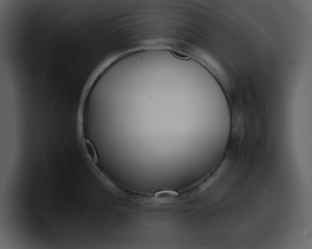 X0000100341196200806191018