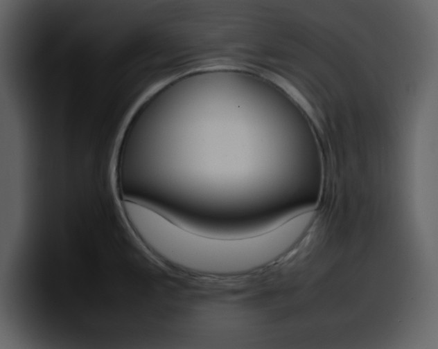 X0000100341197200806191018