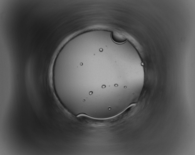 X0000100341199200806191018