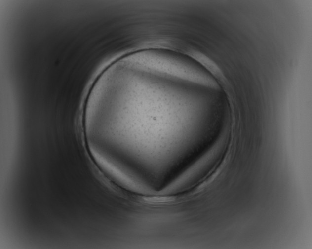 X0000100341200200806191018