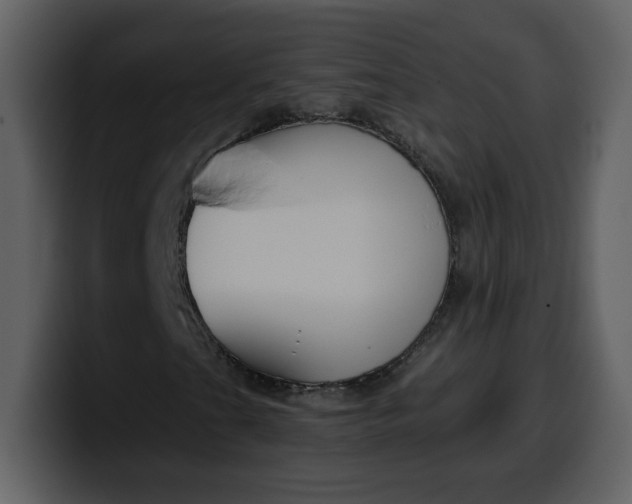 X0000100341201200806191017