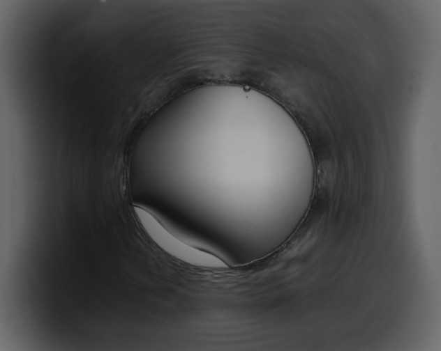 X0000100341202200806191017