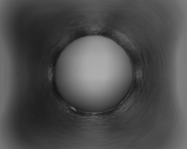 X0000100341204200806191017