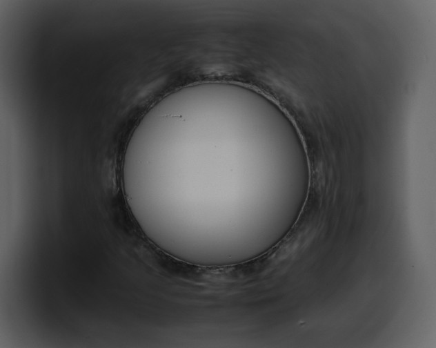 X0000100341205200806191017