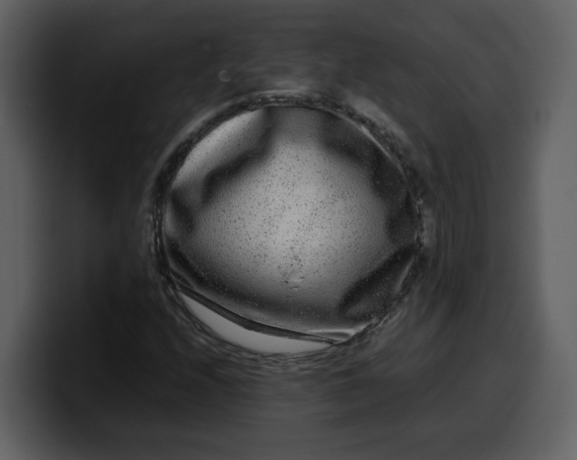 X0000100341208200806191017