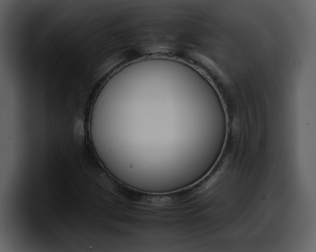 X0000100341209200806191017