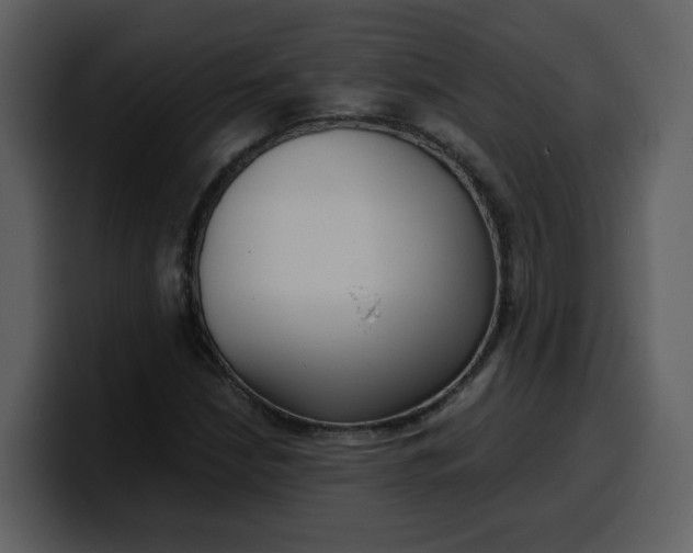 X0000100341210200806191017