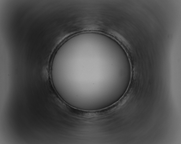 X0000100341212200806191017