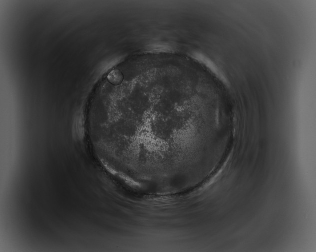 X0000100341213200806191017