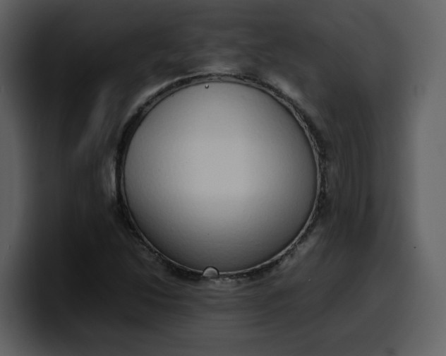 X0000100341214200806191017