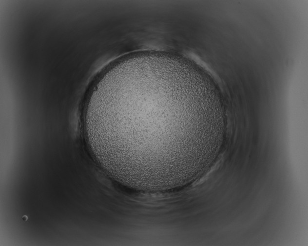 X0000100341215200806191017