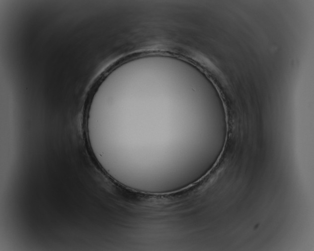 X0000100341216200806191017