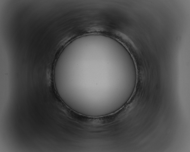 X0000100341217200806191017