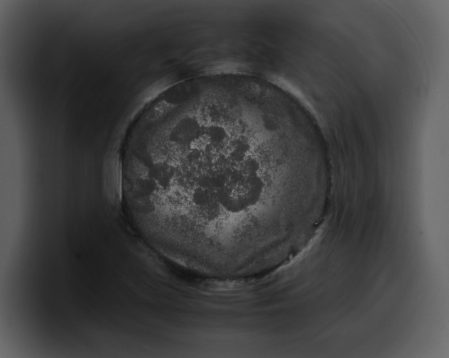 X0000100341219200806191017