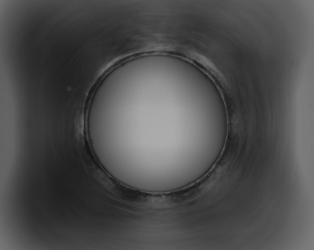 X0000100341220200806191017