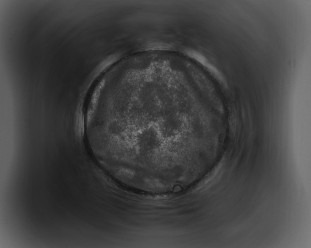 X0000100341221200806191017