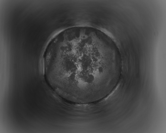 X0000100341223200806191017