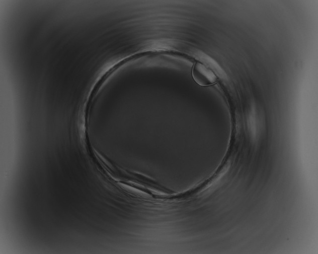 X0000100341226200806191017