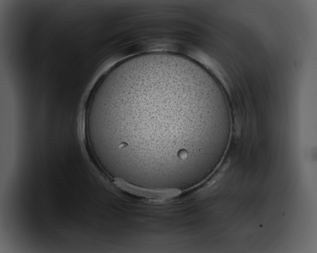 X0000100341227200806191017