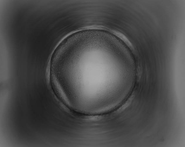 X0000100341228200806191017